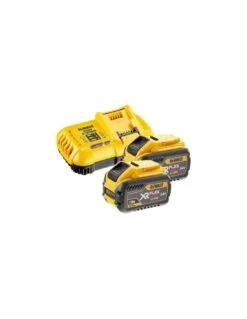 Set De Démarrage Flexvolt Dewalt DCB118X2